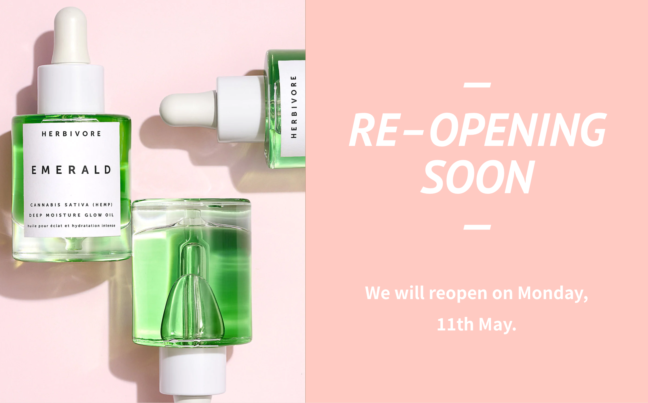 実店舗営業再開のお知らせ(更新)