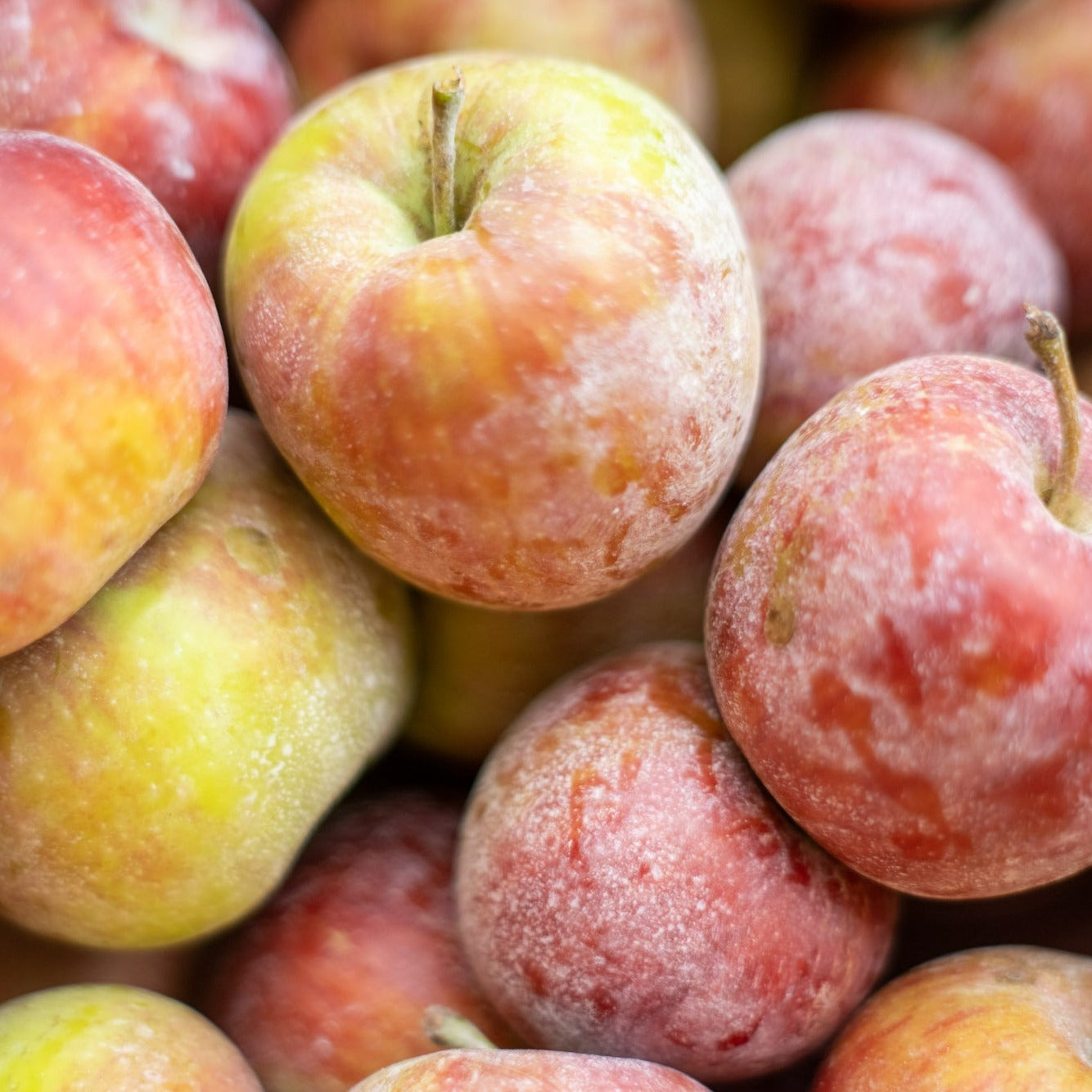 Apple Rippa 原味蓝苹果混合汁
