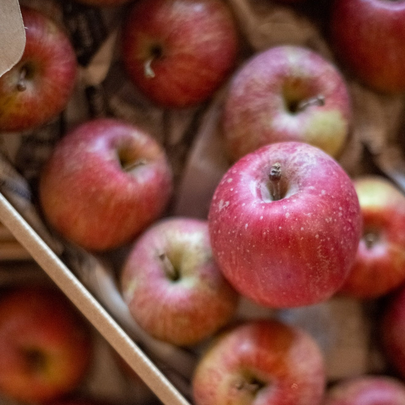 Apple Rippa 原味富士苹果汁