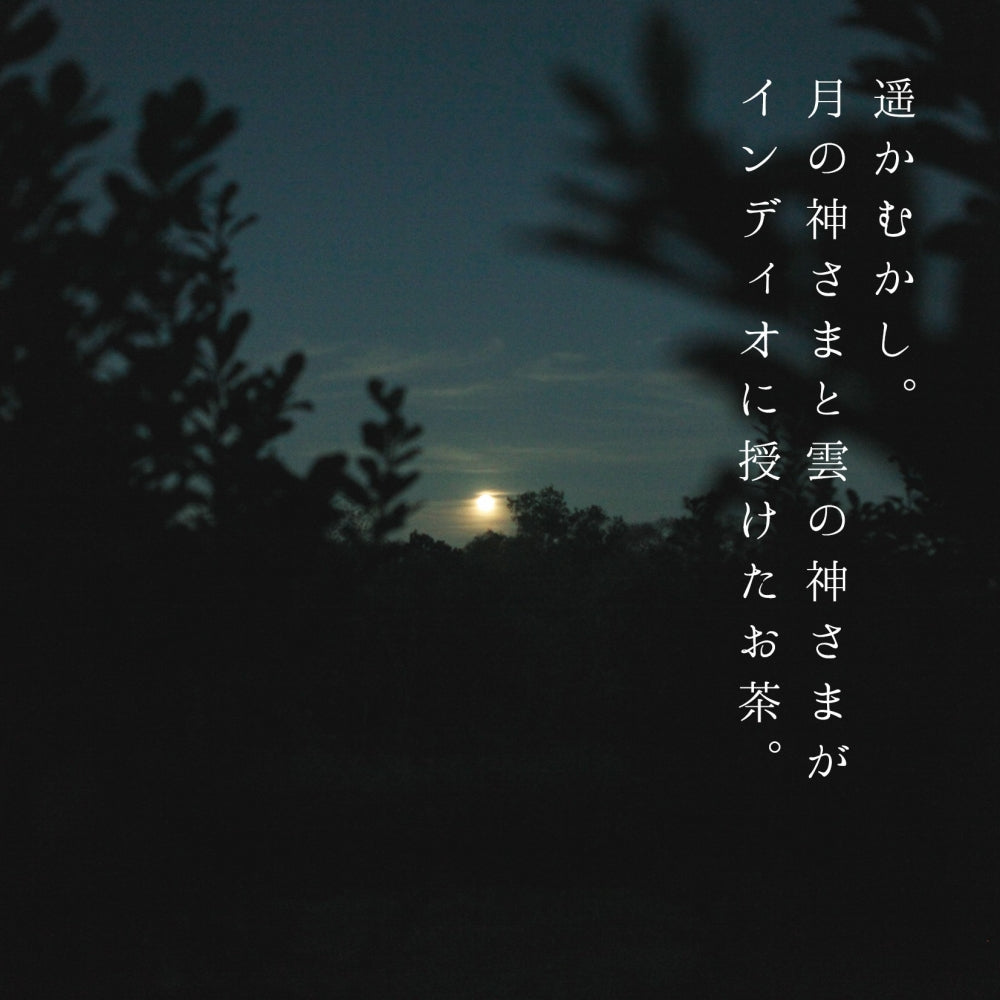 Bodhi MATE(オーガニック マテ茶)