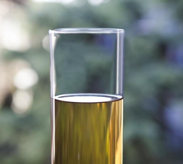 Bodhi MATE(有机马黛茶)