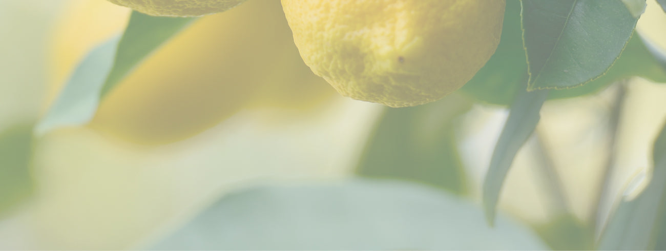 フード＆ドリンク