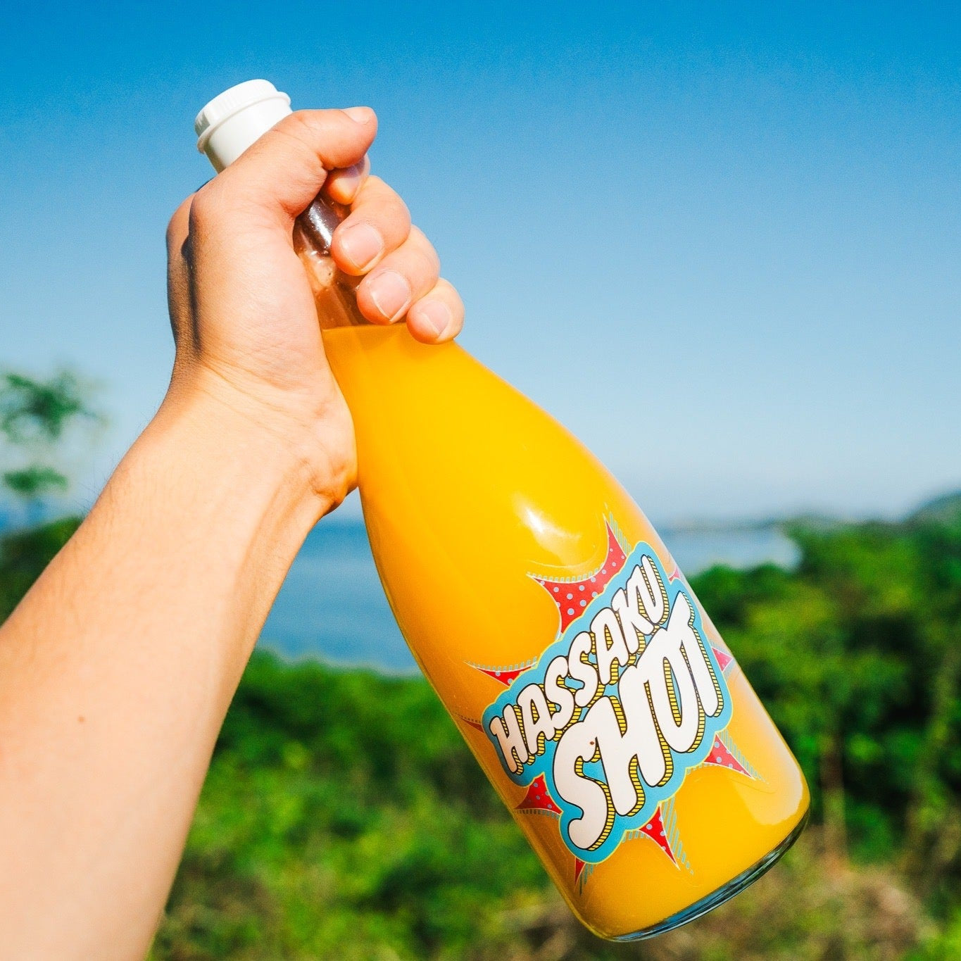 HASSAKU SHOT はっさくジュース