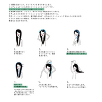 ナチュラルコスモ　風流トリートメントシャンプー (お試しサイズ)