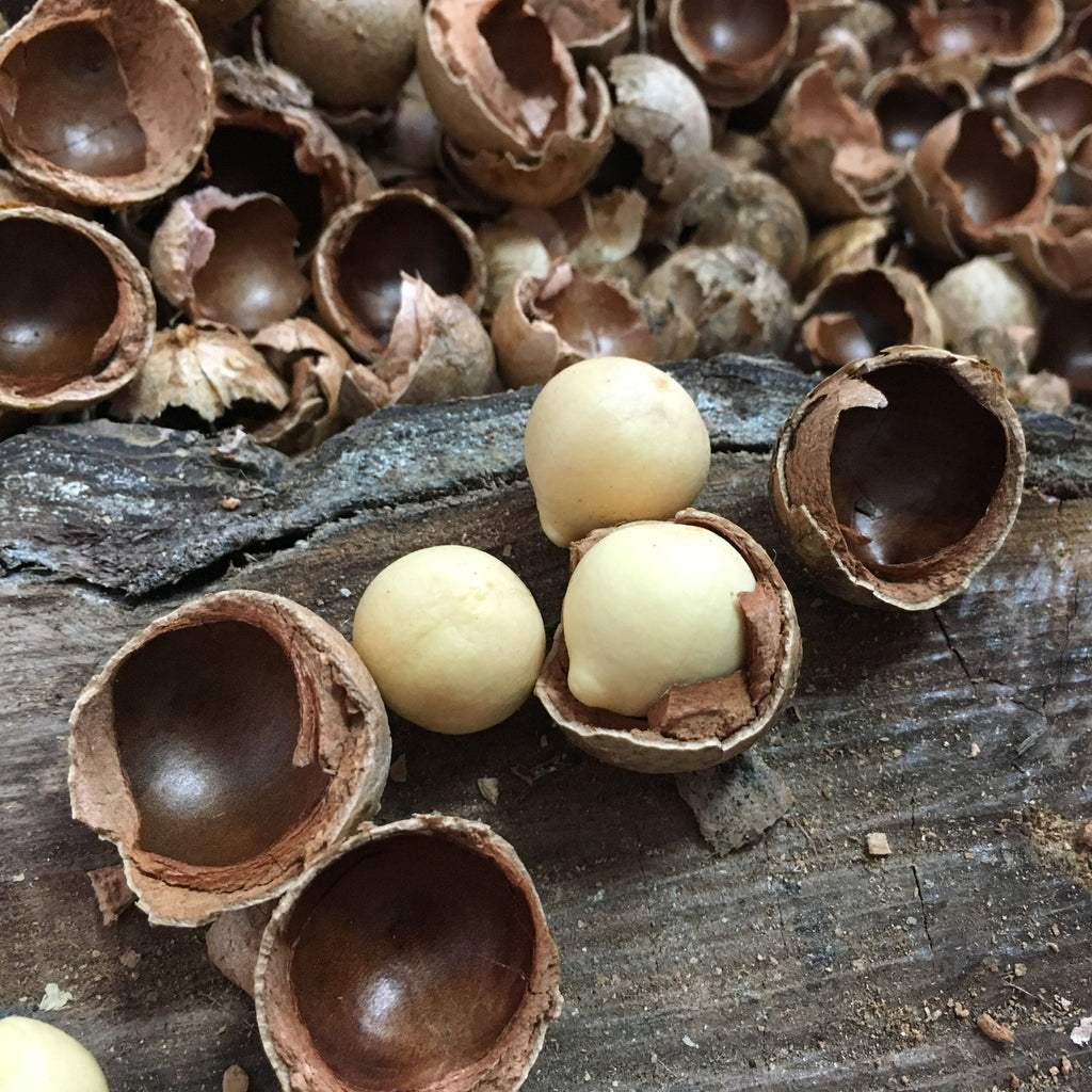 naure tamanu 洗面皂