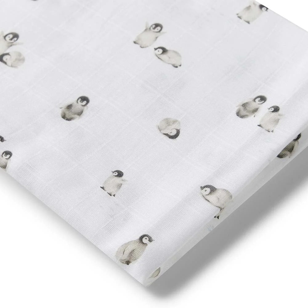 Snuggle Hunny Kids Organic Muslin Wraps (Alpha)