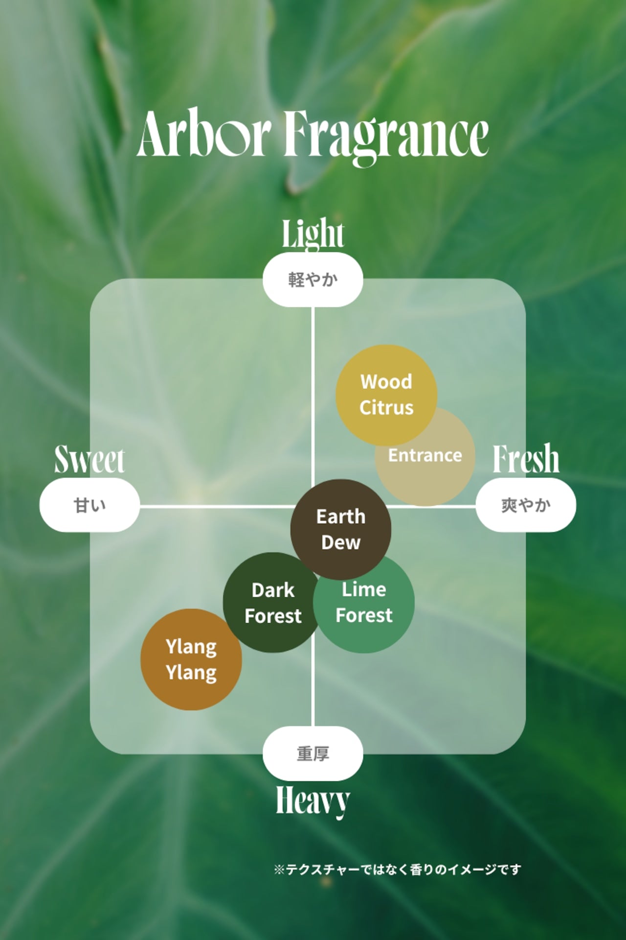 【期間限定2/26-23】Arbor Hair Oil 【Light】100ml