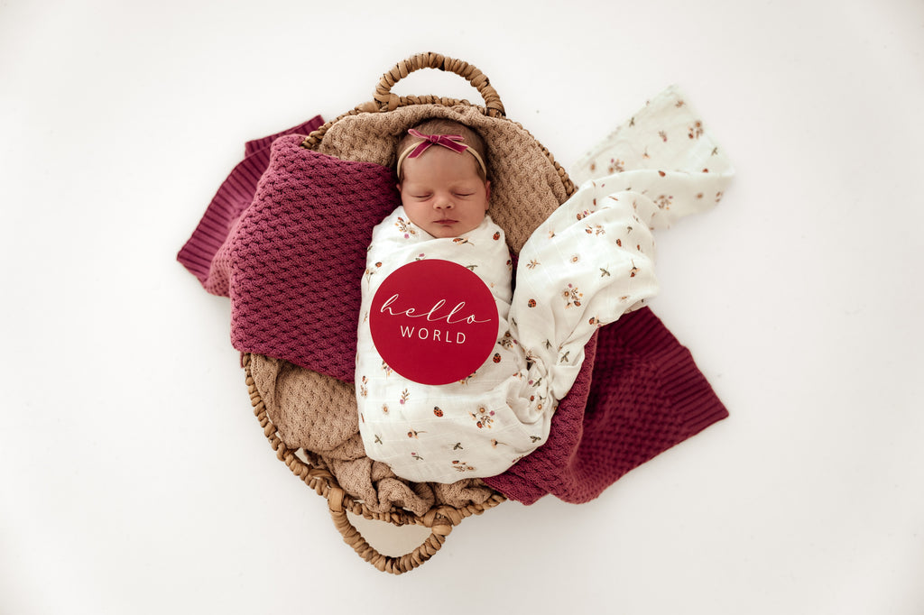 Snuggle Hunny Kids 有机平纹细布裹身布（瓢虫）