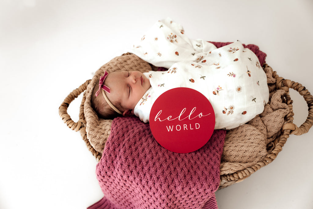 Snuggle Hunny Kids 有机平纹细布裹身布（瓢虫）