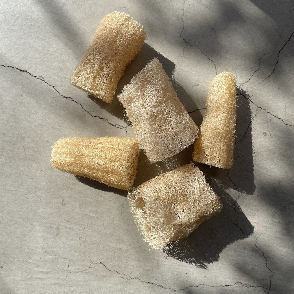 へちま スポンジ パッケージフリー  国産 プラスチックフリー 商品イメージ 商品イメージ