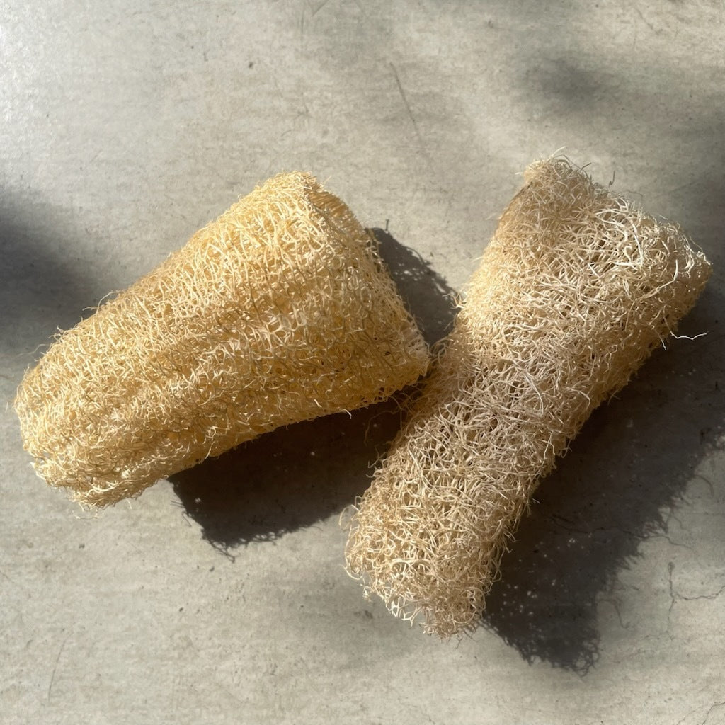 へちま スポンジ パッケージフリー  国産 プラスチックフリー 商品イメージ 商品イメージ