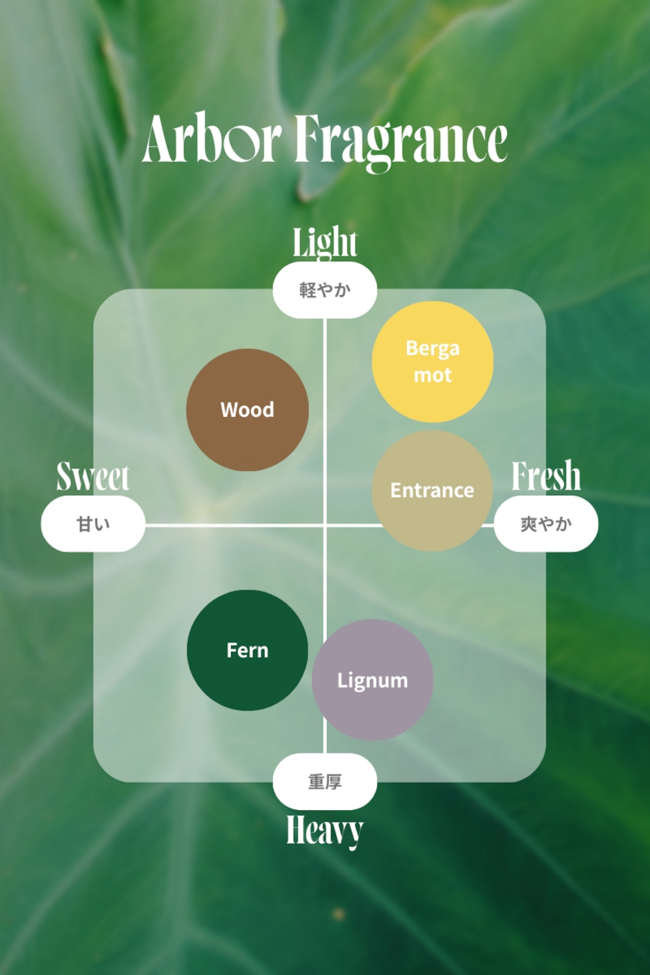 【期間限定2/6-23】Arbor Chalice wood diffuser + aroma oil 5ml set