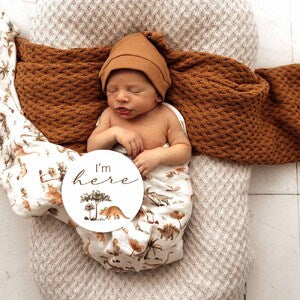 Snuggle Hunny Kids Organic Muslin Wrap (Dino)