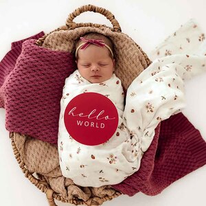 Snuggle Hunny Kids Organic Muslin Wraps (Ladybug)