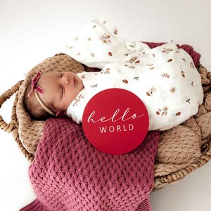 Snuggle Hunny Kids Organic Muslin Wraps (Ladybug)
